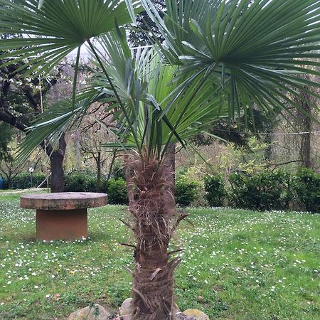 Locanda Irene Monte San Pietro ภายนอก รูปภาพ